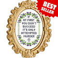 If At First You Don't Succeed by Mr. Stevers